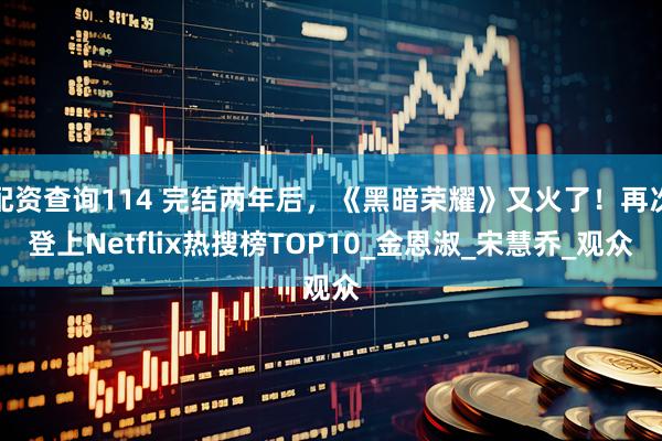 配资查询114 完结两年后，《黑暗荣耀》又火了！再次登上Netflix热搜榜TOP10_金恩淑_宋慧乔_观众