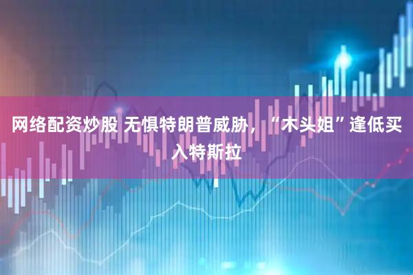 网络配资炒股 无惧特朗普威胁，“木头姐”逢低买入特斯拉