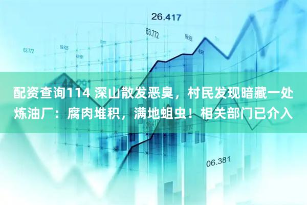 配资查询114 深山散发恶臭，村民发现暗藏一处炼油厂：腐肉堆积，满地蛆虫！相关部门已介入