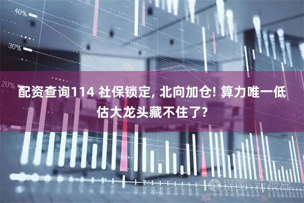 配资查询114 社保锁定, 北向加仓! 算力唯一低估大龙头藏不住了?